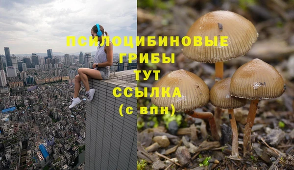 синтетический гашиш Балахна