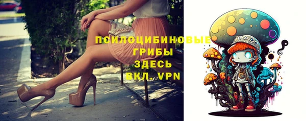 дмт Баксан