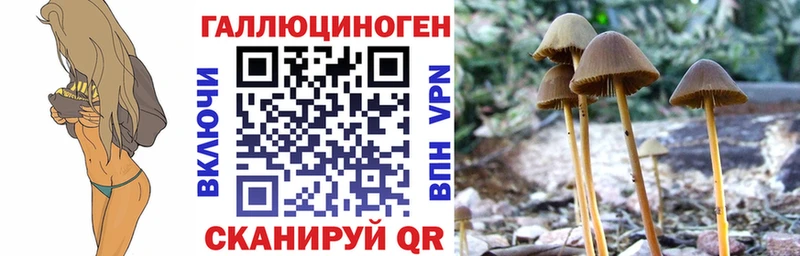 Псилоцибиновые грибы Magic Shrooms  Белоярский 